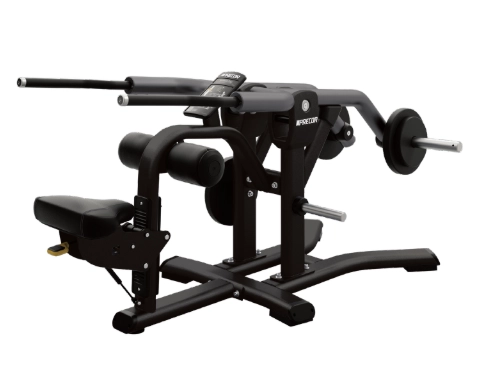 Precor Plate Loaded Seated Dip